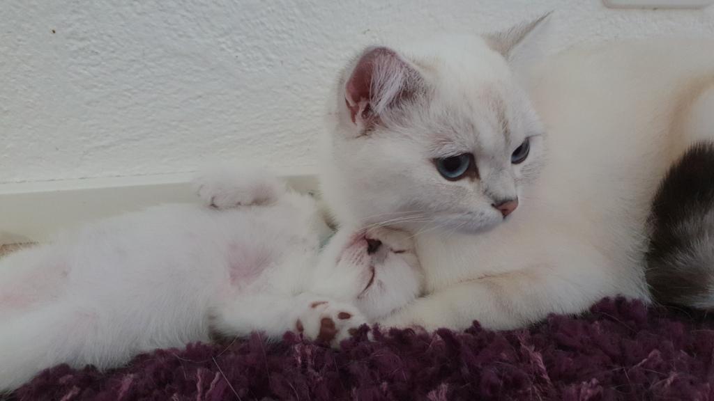 Edward (Edi) von der Forch mit seiner großen Schwester DonnaFilou