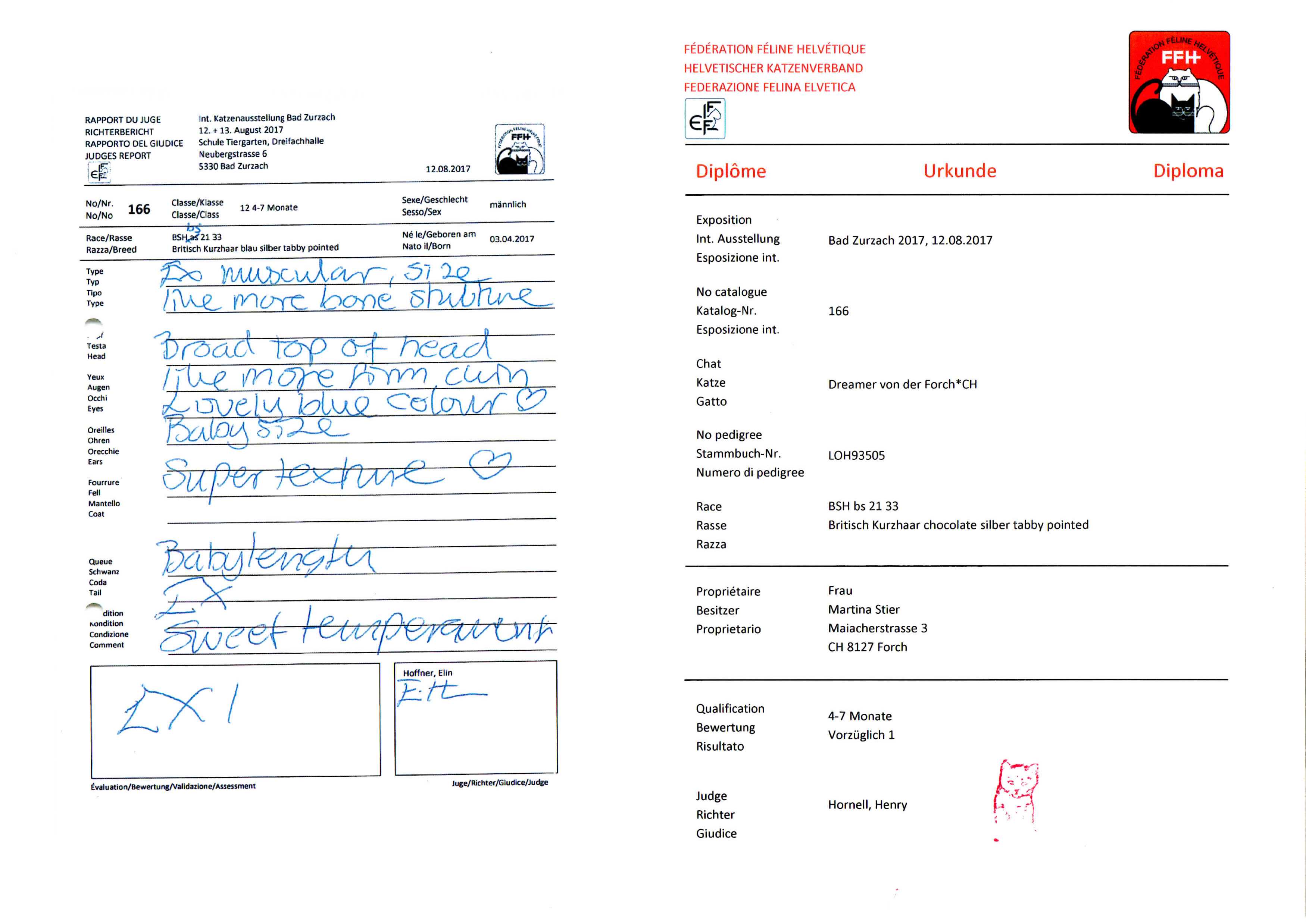 Auszeichnung Dreamer Ex. V1