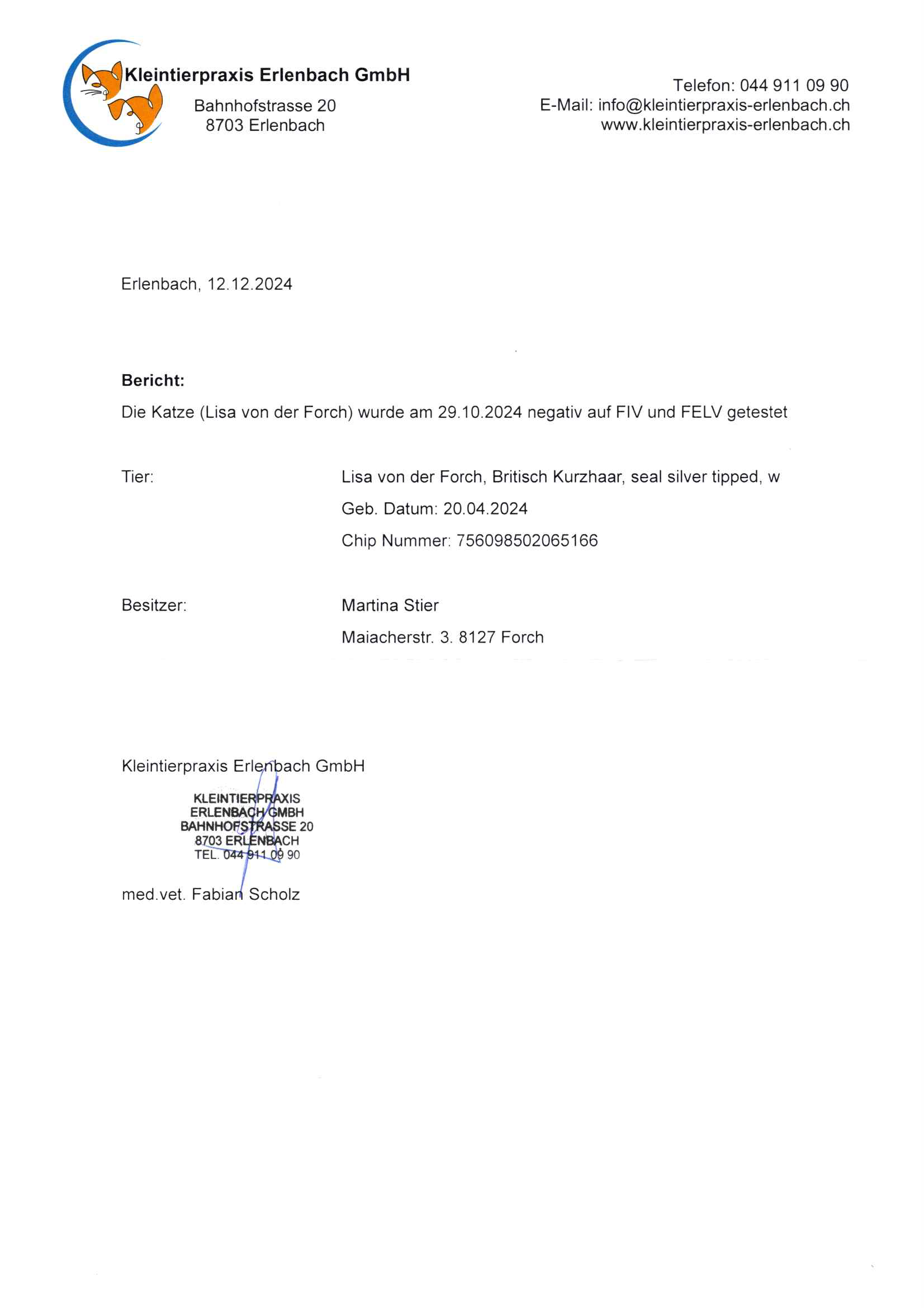 FIV/FeLV Test vom 29.10.2024