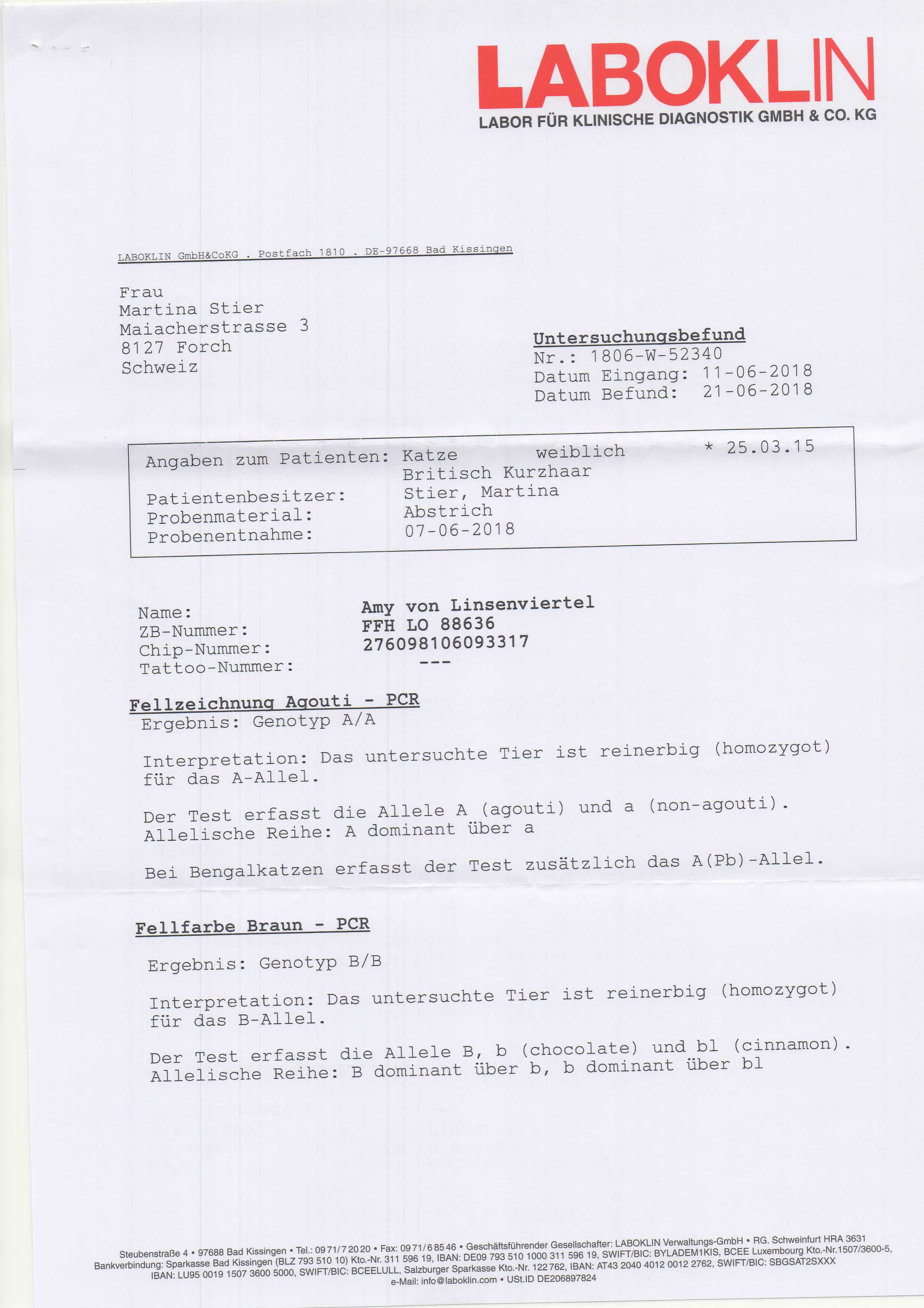 Amy Test Seite 1
