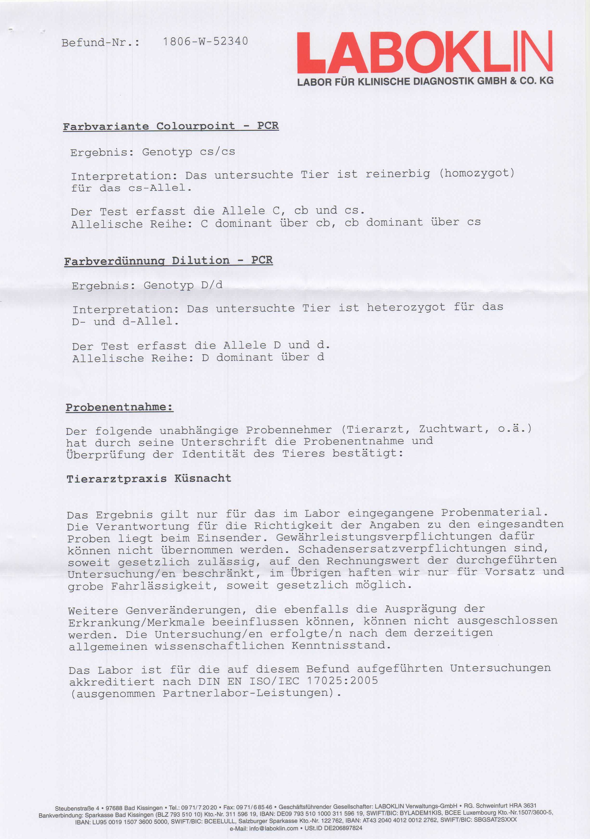 Amy Test Seite 2