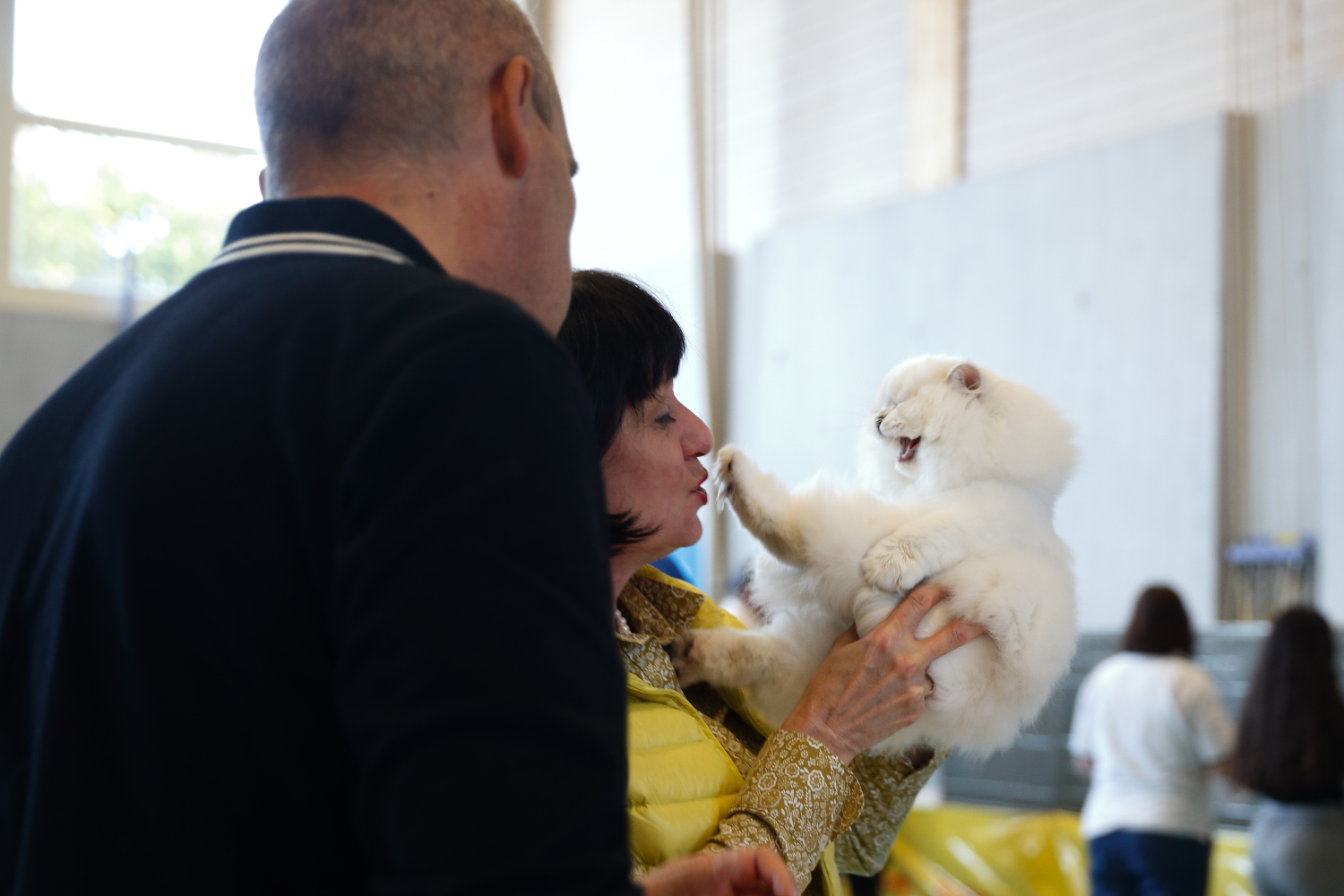 Best in Show