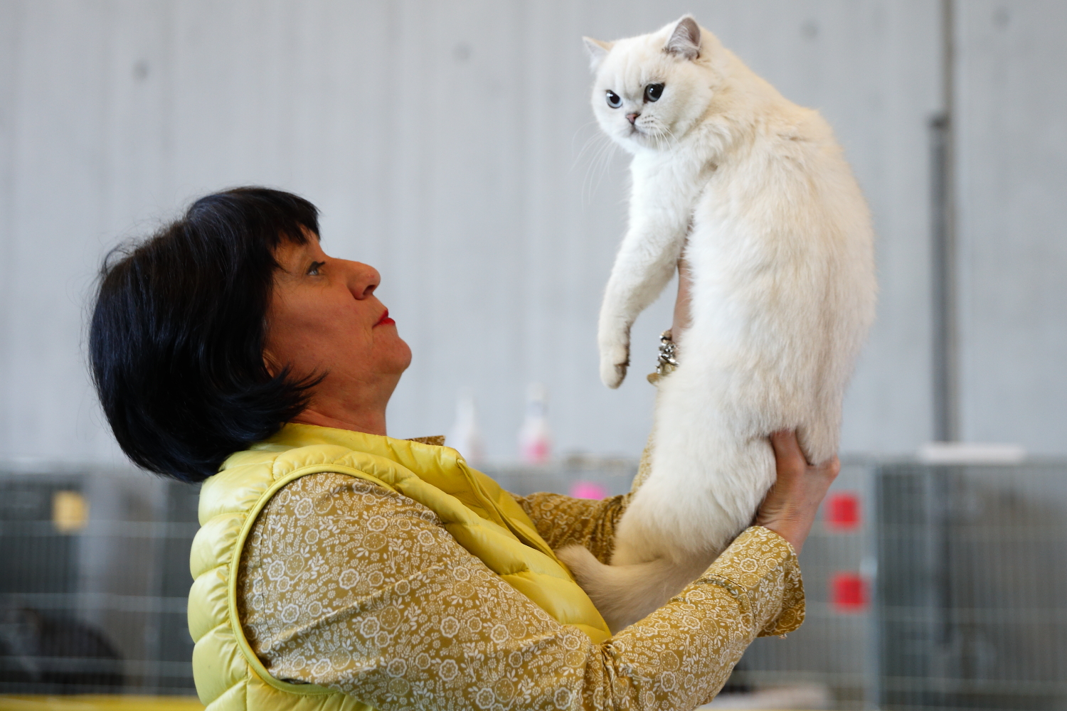 Lisa bei der Best in Show Nomination bei Frau Thea Friskovec-Keller