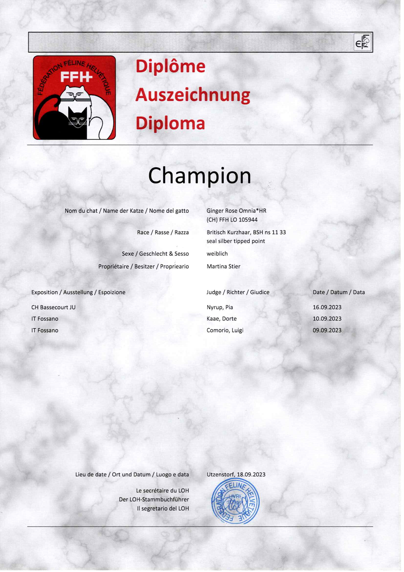 Urkunde Champion Ginger Rose Omnia
